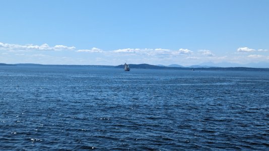 PXL_20230731_212739805.jpg