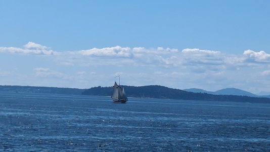 PXL_20230731_212746104.jpg