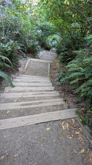 PXL_20230803_144355187-.jpg