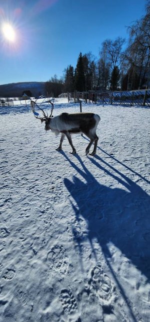 20230308_112646.jpg