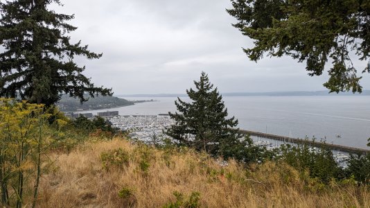 PXL_20230818_183743135.jpg