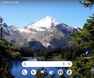 Mt Baker-.png