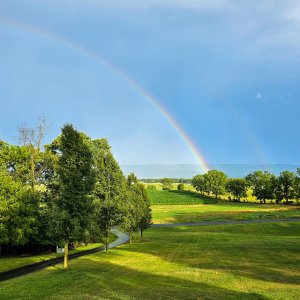 Rainbow-Aug2023.jpg