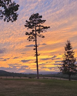 Sunset-Aug30-2023.jpg