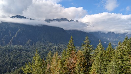 PXL_20230907_170420330-.jpg