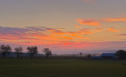 HQ Farm-2023-2.jpg