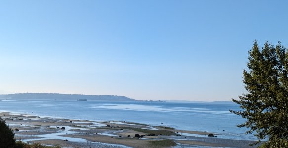 PXL_20230909_161841206--.jpg