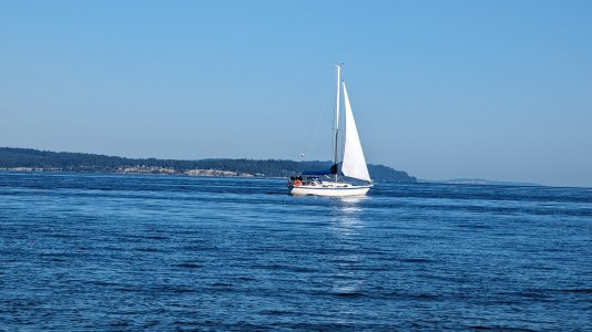 PXL_20230909_162741144-.jpg