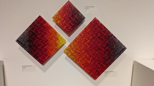 PXL_20230912_220619736.jpg