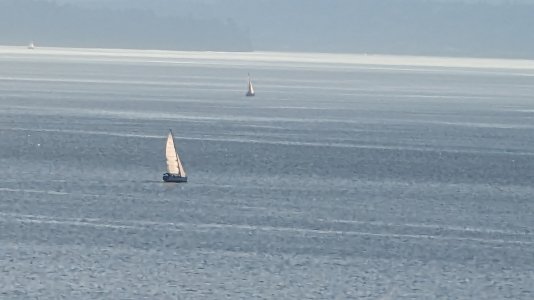 PXL_20230916_010130115-.jpg