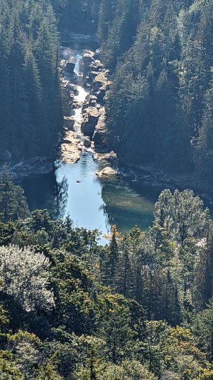 PXL_20230922_173731622-.jpg