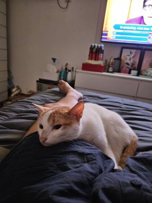 20230819_064857.jpg