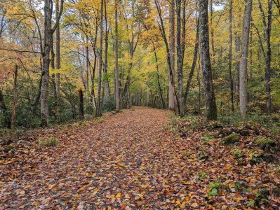 LR Trail 1.jpg