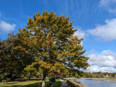 PXL_20231017_141332692.jpg