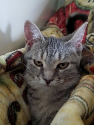 Josie sofa10 at4mos.jpg