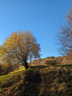 517313443.jpg