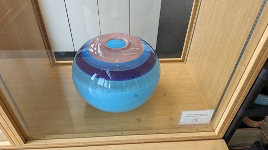 PXL_20231102_184346332.MP-.jpg