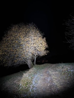 57928880.jpg