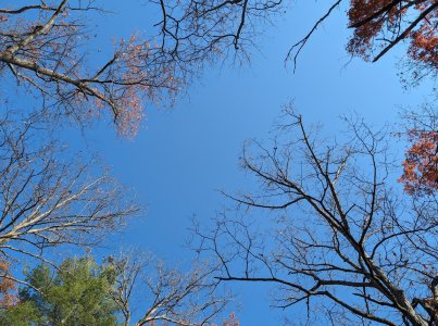 sky.jpg