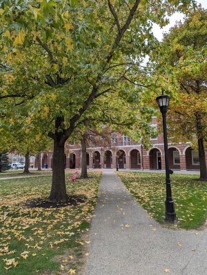 PXL_20231106_171934129.jpg