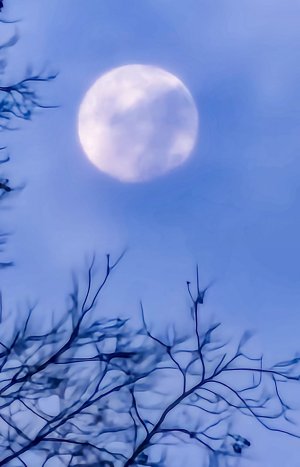 Moon-Nov2023.jpg