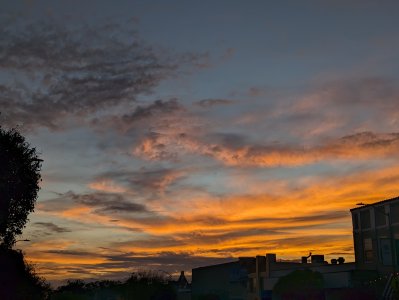 PXL_20231115_010604955~2.jpg