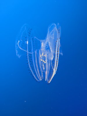 PXL_20231207_223156571.jpg