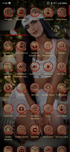 Screenshot_20231216_111835_Nova Launcher.jpg