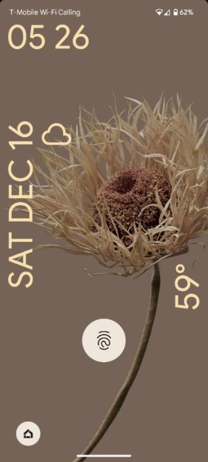 Screenshot_20231216-172610.jpg