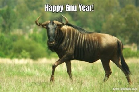 Happy Gnu Year.jpg