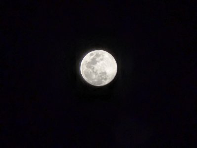 PXL_20231226_072959809.jpg