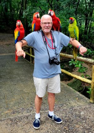Macaws for Web.jpg