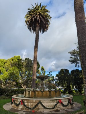 PXL_20240103_232154020.jpg