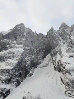 784668156.jpg