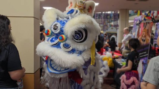 VideoCapture_20240127-233146.jpg