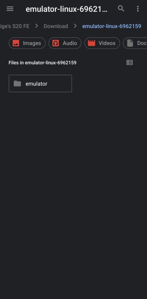 Screenshot_20240201_235418_Files.jpg