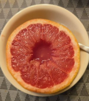 20240206_194100.jpg