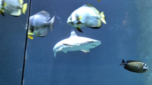 20240207_100935.jpg