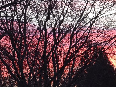 20240207_072612.jpg