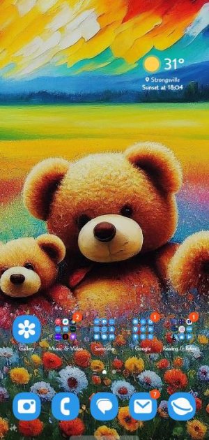 Screenshot_20240218_154526_One UI Home.jpg