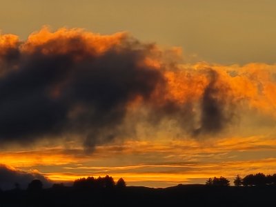 20240225_175633.jpg