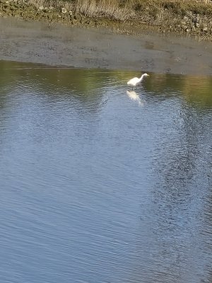 20240225_090555.jpg