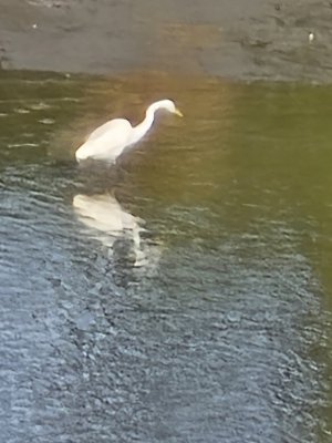 20240225_090703.jpg