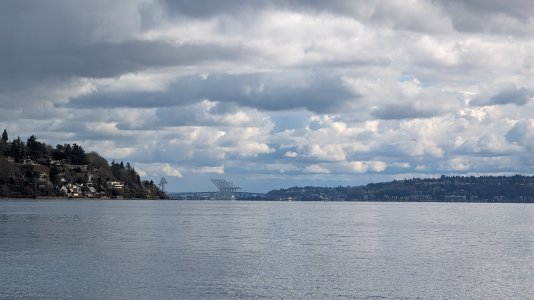 PXL_20240226_221753409.MP-.jpg