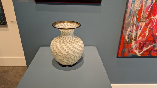 PXL_20240229_191817462.MP.jpg