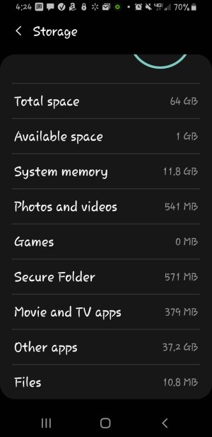 Screenshot_20240302-162411_Settings.jpg