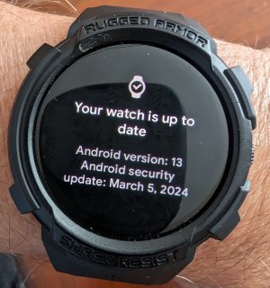 1000000755.jpg