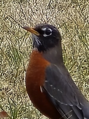 20240304_143453.jpg