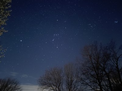 20240311_204842.jpg