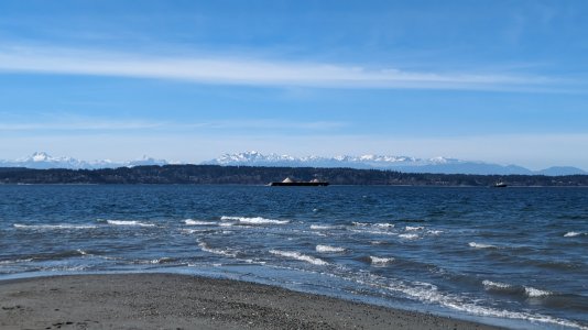 PXL_20240314_211320945.MP-.jpg